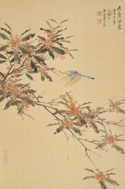 丹桂蜻蜓