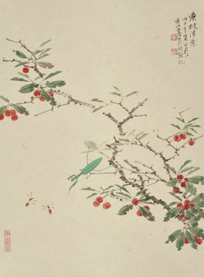 樱桃草虫