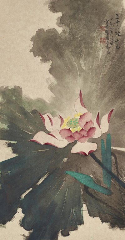 映日荷花