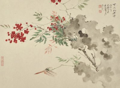 南天竺蜻蜓